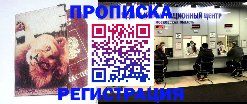 прописка гарантия в Ярославле